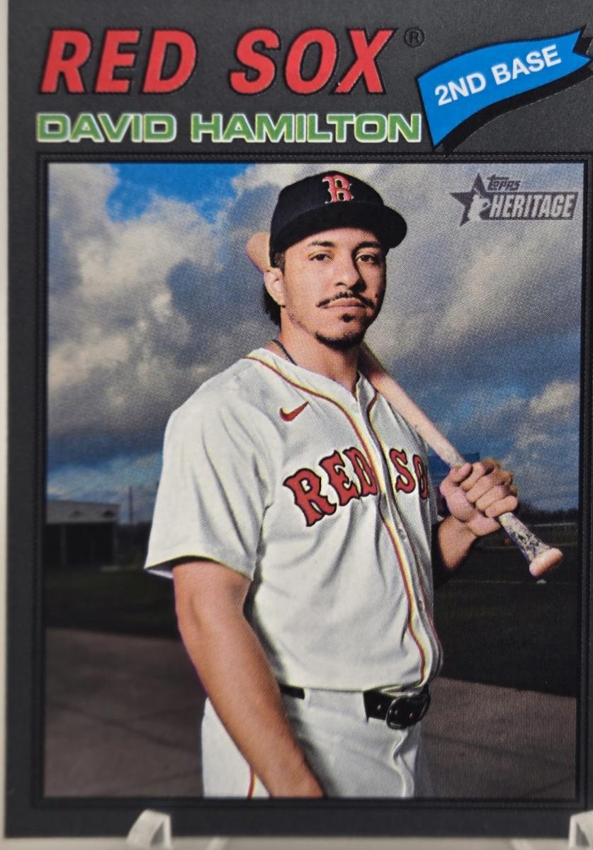 David Hamilton [Dark Gray Bordered] #344