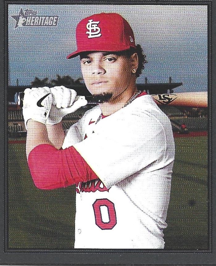 Masyn Winn [Dark Gray Bordered] #358