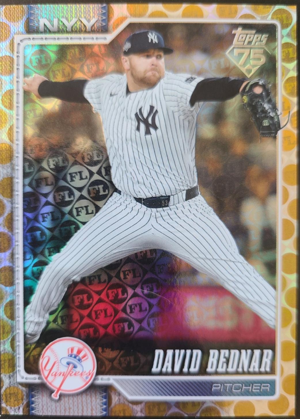 David Bednar [Gold Spring Training] #228