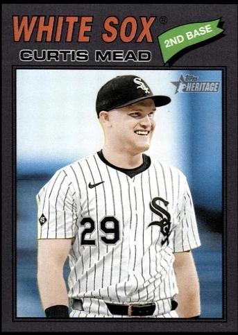 Curtis Mead [Dark Gray Bordered] #303