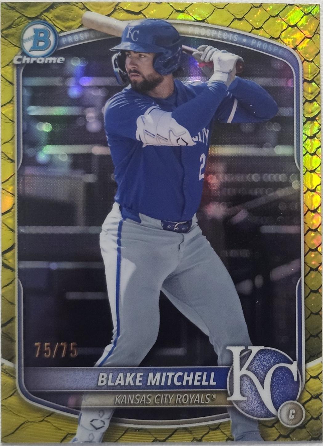 Blake Mitchell [Yellow Reptilian Refractor] #BDC-160