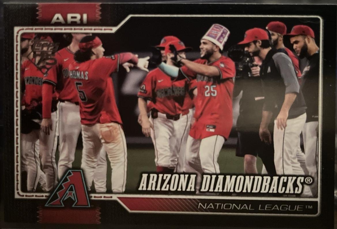 Arizona Diamondbacks [Black Border] #47