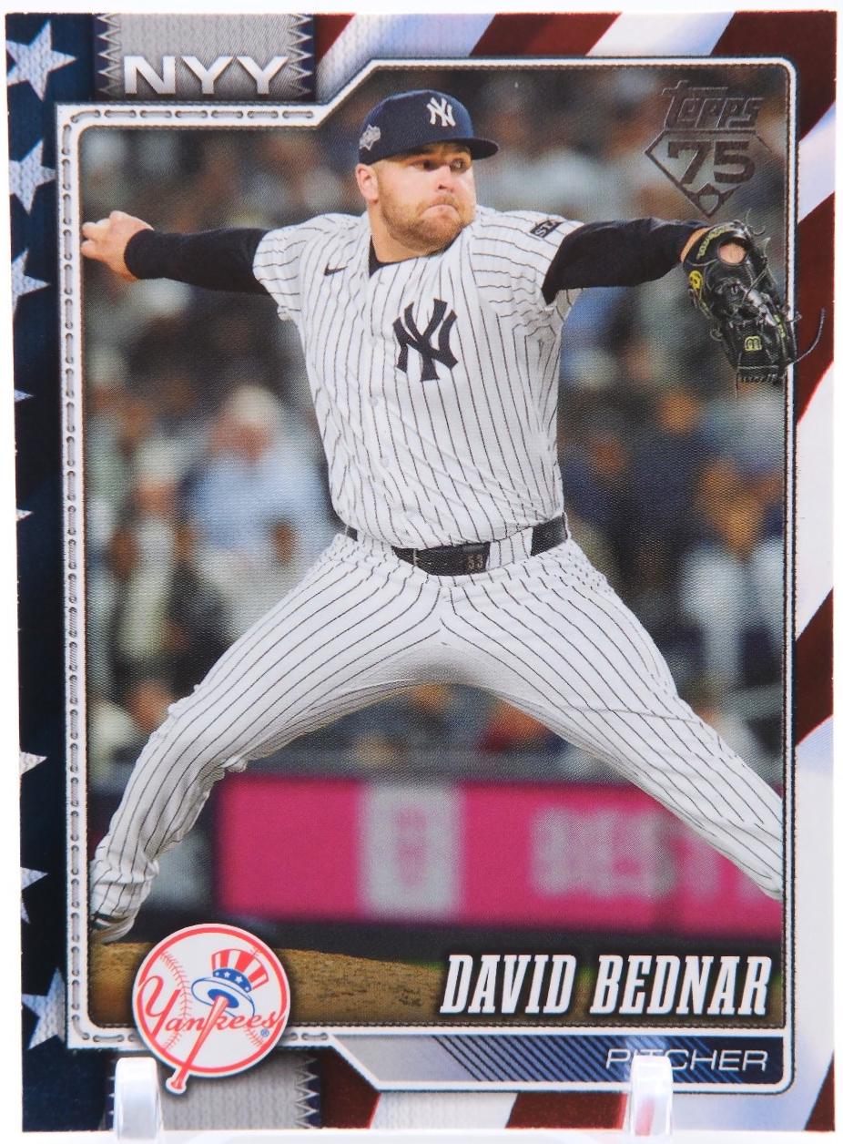 David Bednar [Independence Day] #228