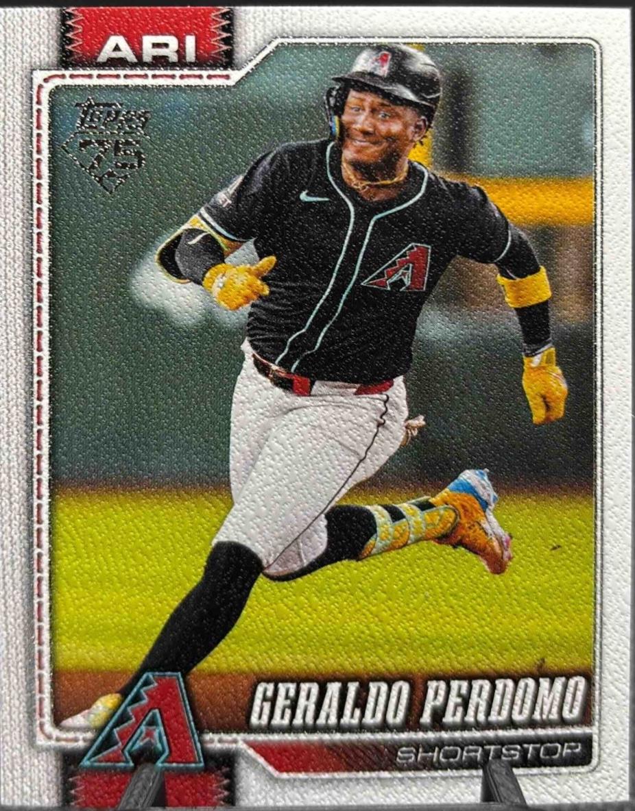 Geraldo Perdomo [Canvas] #257