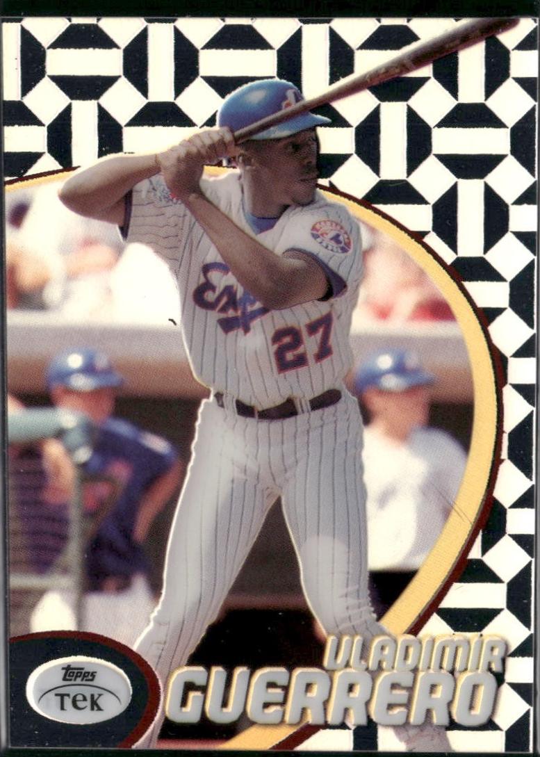 Vladimir Guerrero [Pattern 31] #17