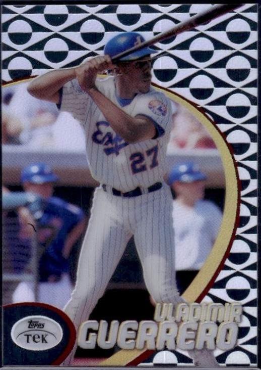 Vladimir Guerrero [Pattern 59] #17
