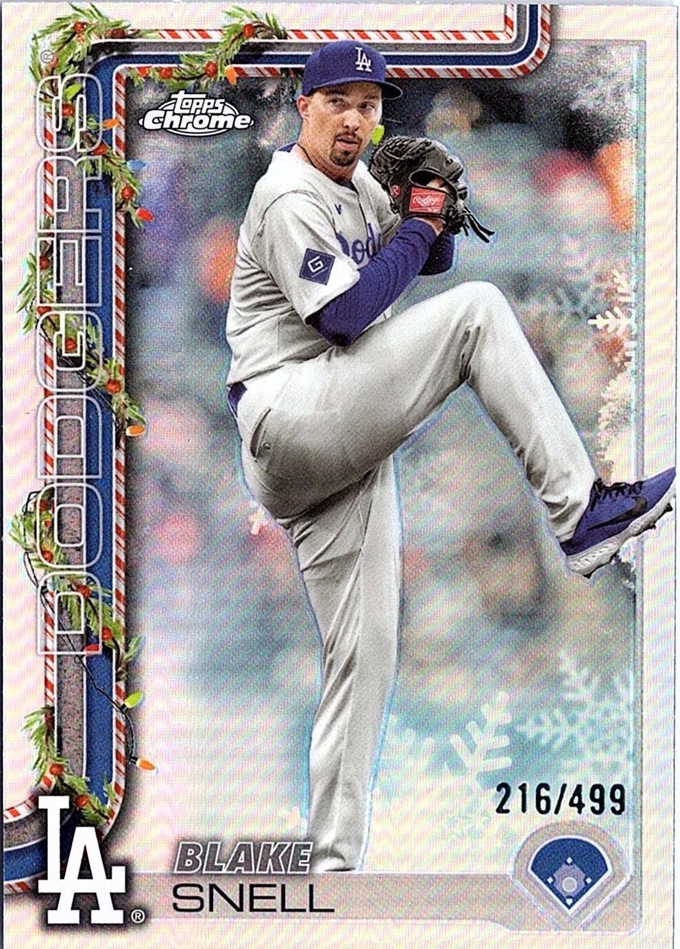 Blake Snell #HC135