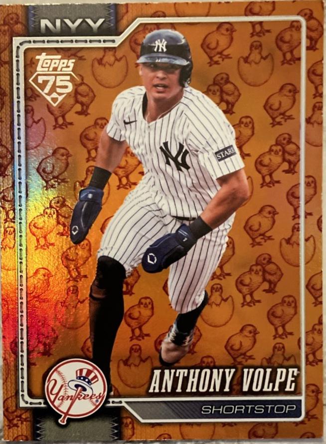 Anthony Volpe [Orange Sandglitter] #308