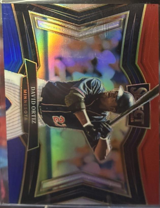 David Ortiz [Red Blue] #281