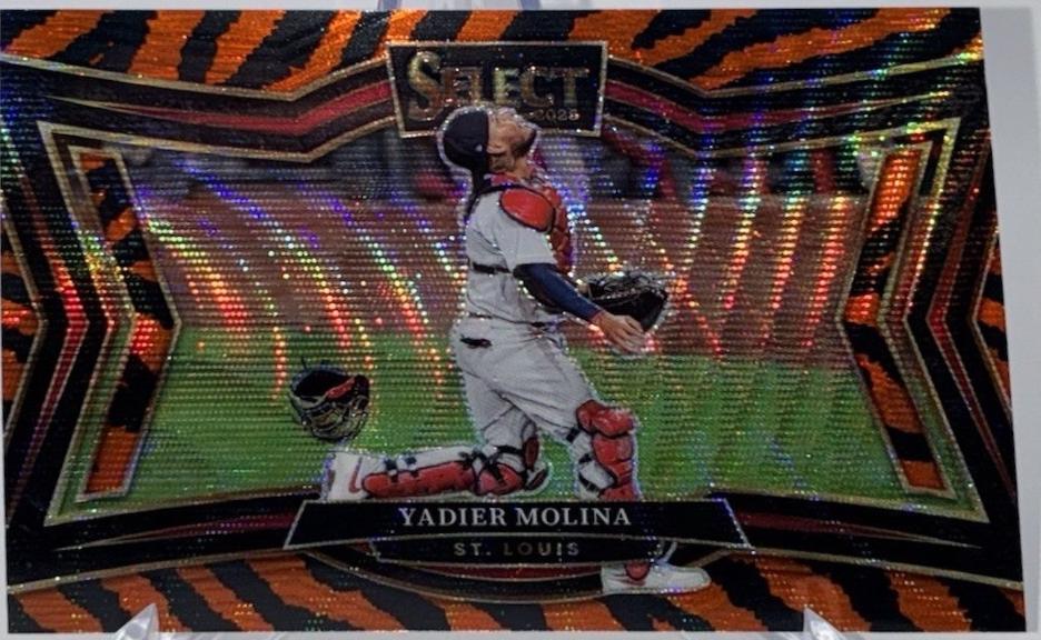 Yadier Molina [Tiger] #290