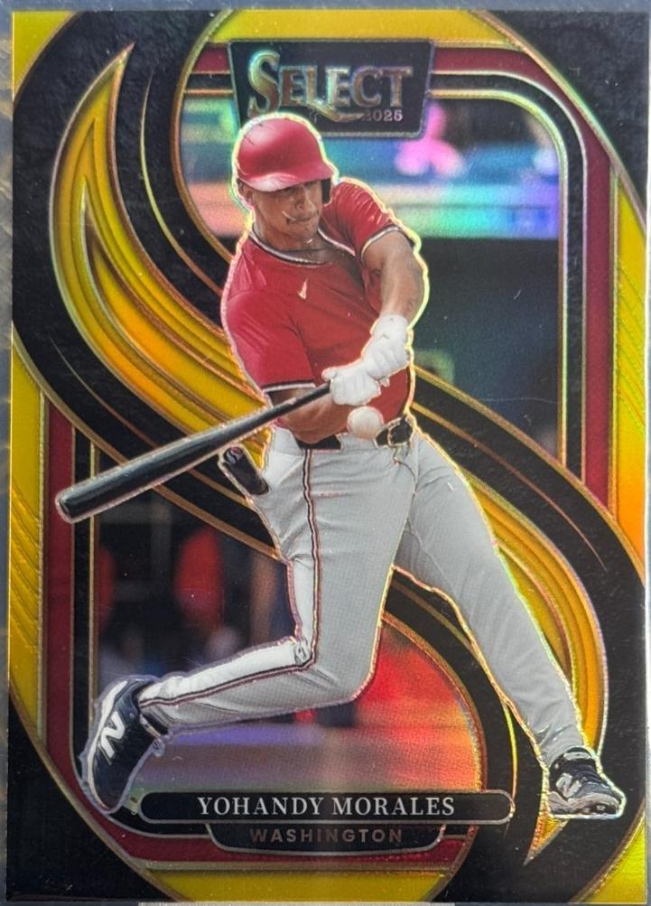 Yohandy Morales [Gold] #166