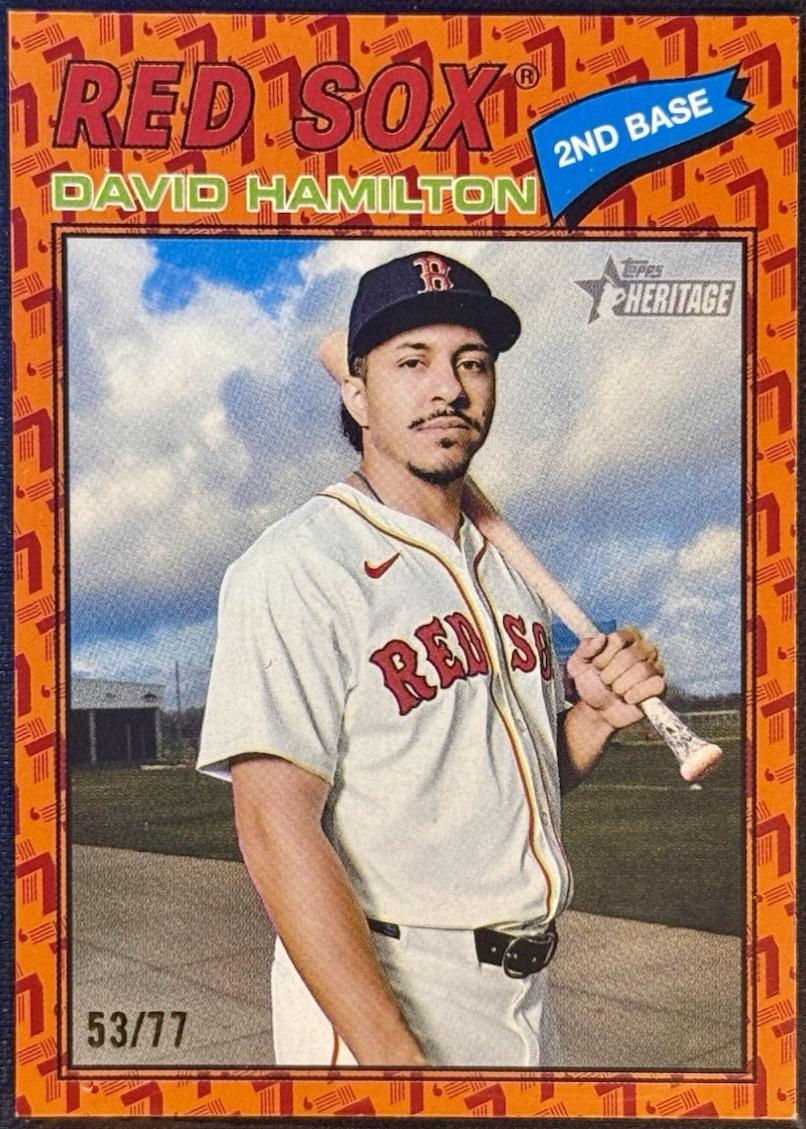 David Hamilton [Color Of The Year Orange] #344