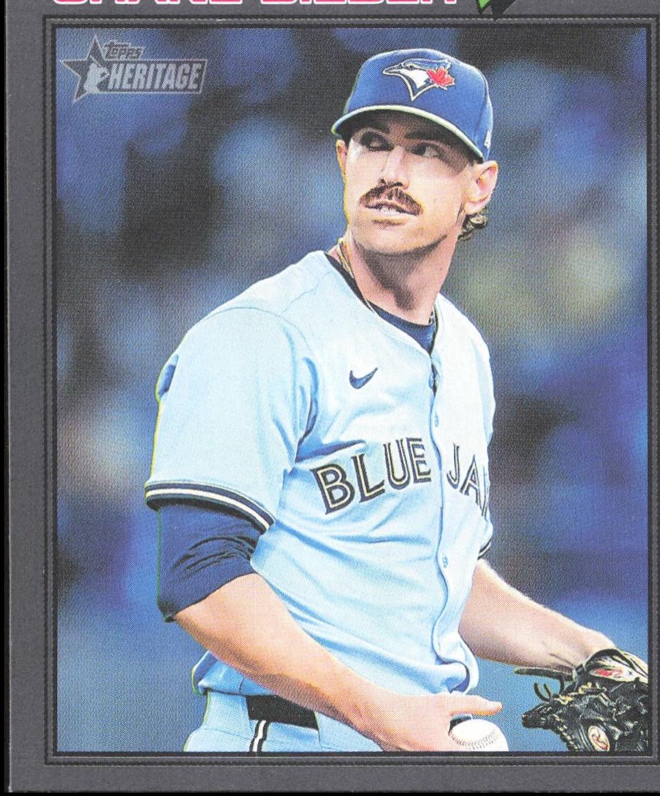 Shane Bieber [Dark Gray Bordered] #210