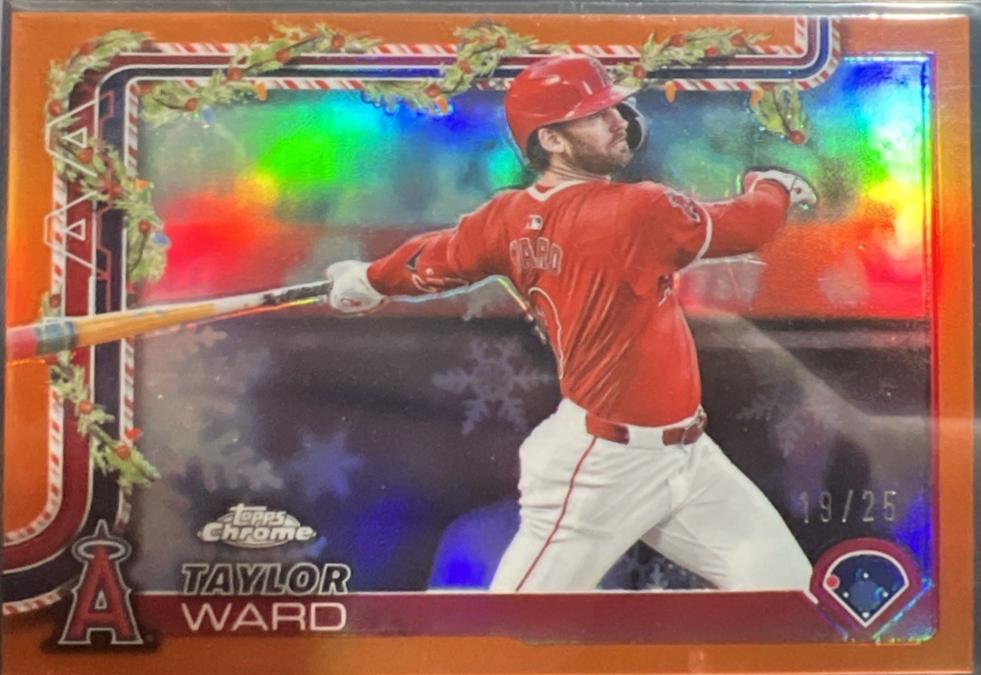 Taylor Ward [Orange] #HC134