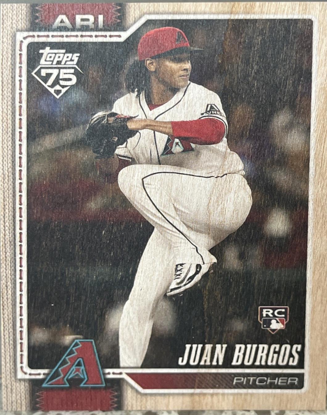 Juan Burgos [Wood] #102