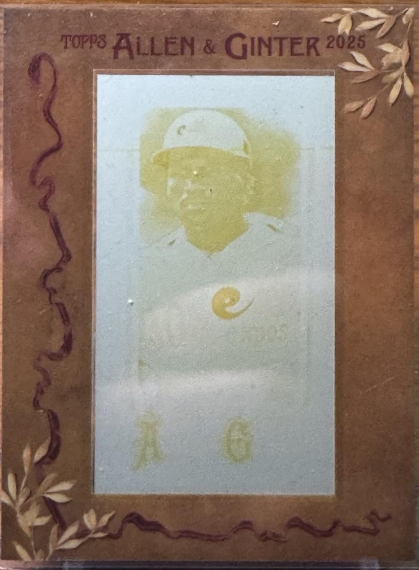 Tim Raines [Glossy Mini] #333