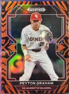 Peyton Graham [Tiger Stripes] #PDP51