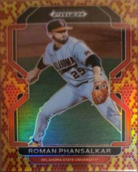 Roman Phansalkar [Snake Skin] #PDP208
