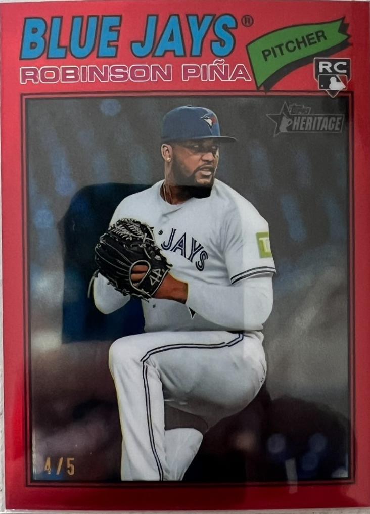 Robinson Pina [Red Bordered Chrome] #315