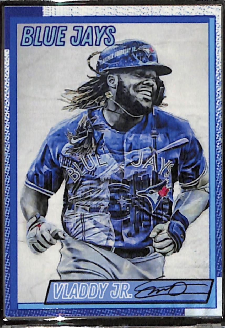 Vladimir Guerrero Jr. [Artist Proof Silver Frame] #380
