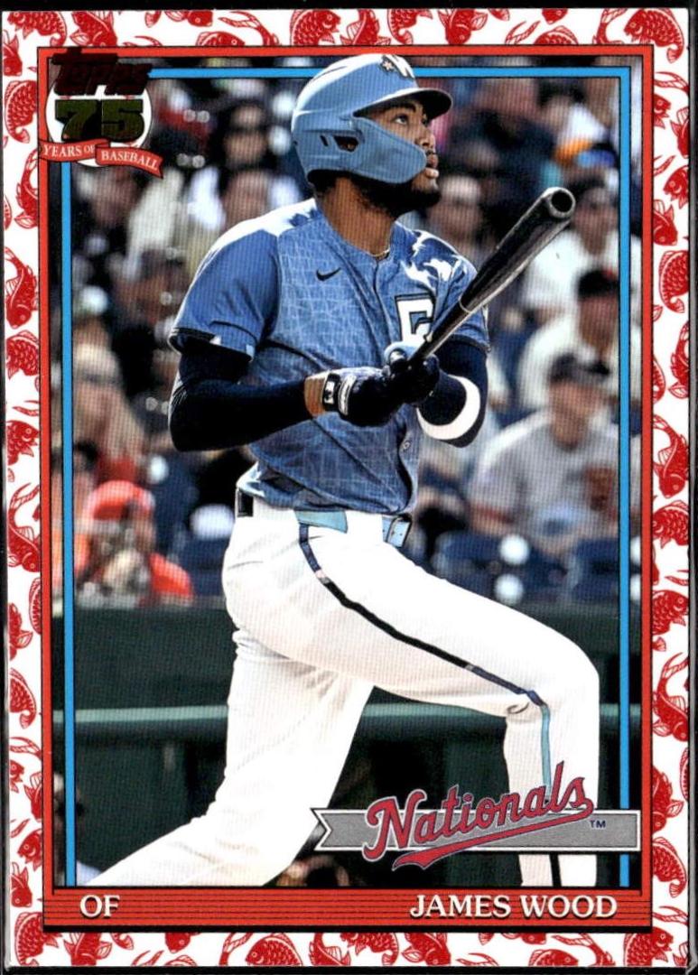 James Wood [Koi Fish] #T91-16