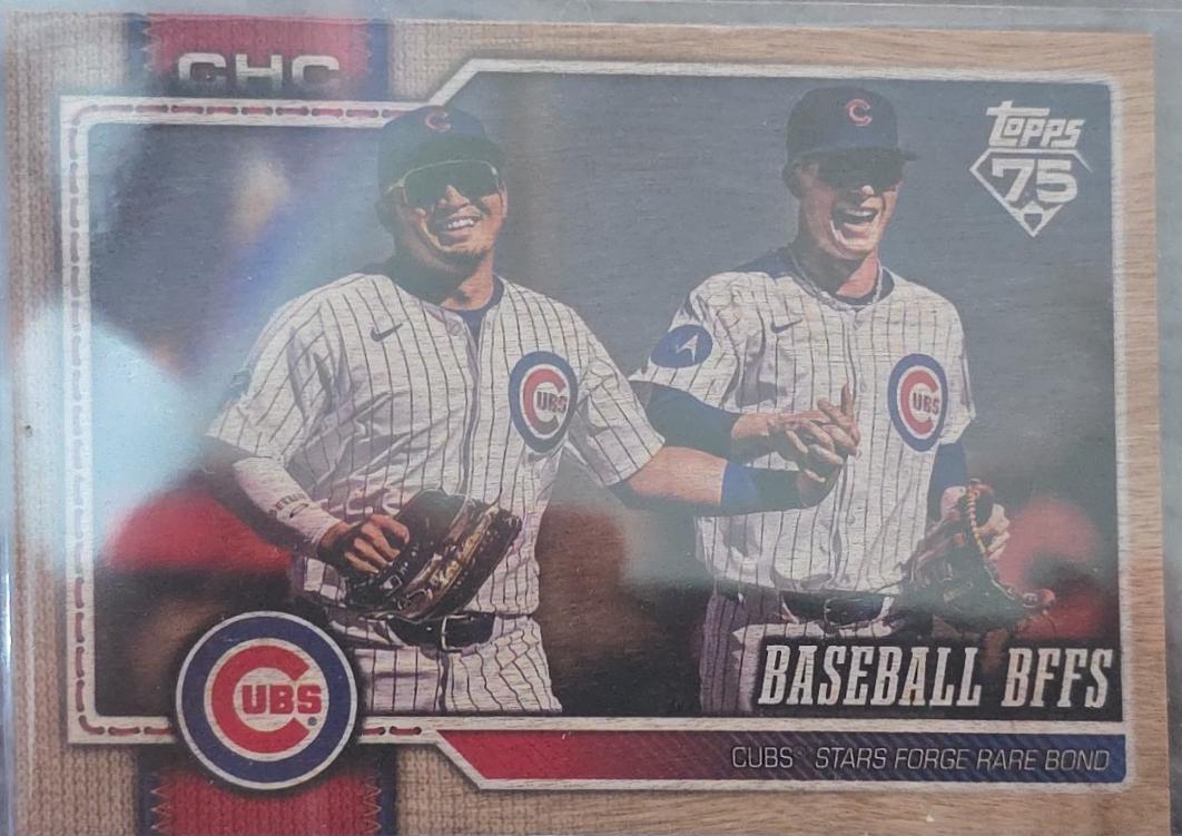 Baseball BFFs [Wood] #126