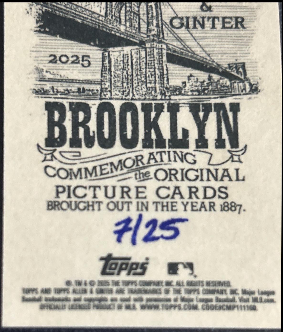 Peter Weber [Brooklyn Back Mini] #263