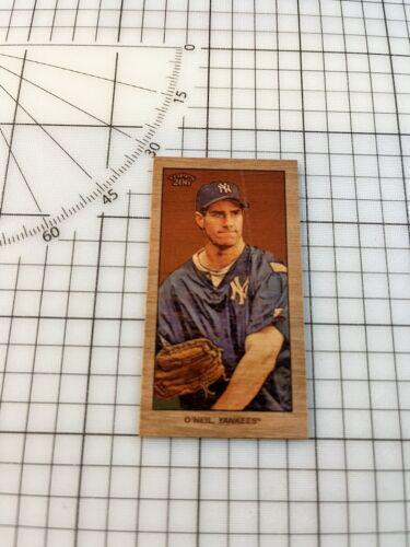 Paul O'Neil [Wood Paper Stock]