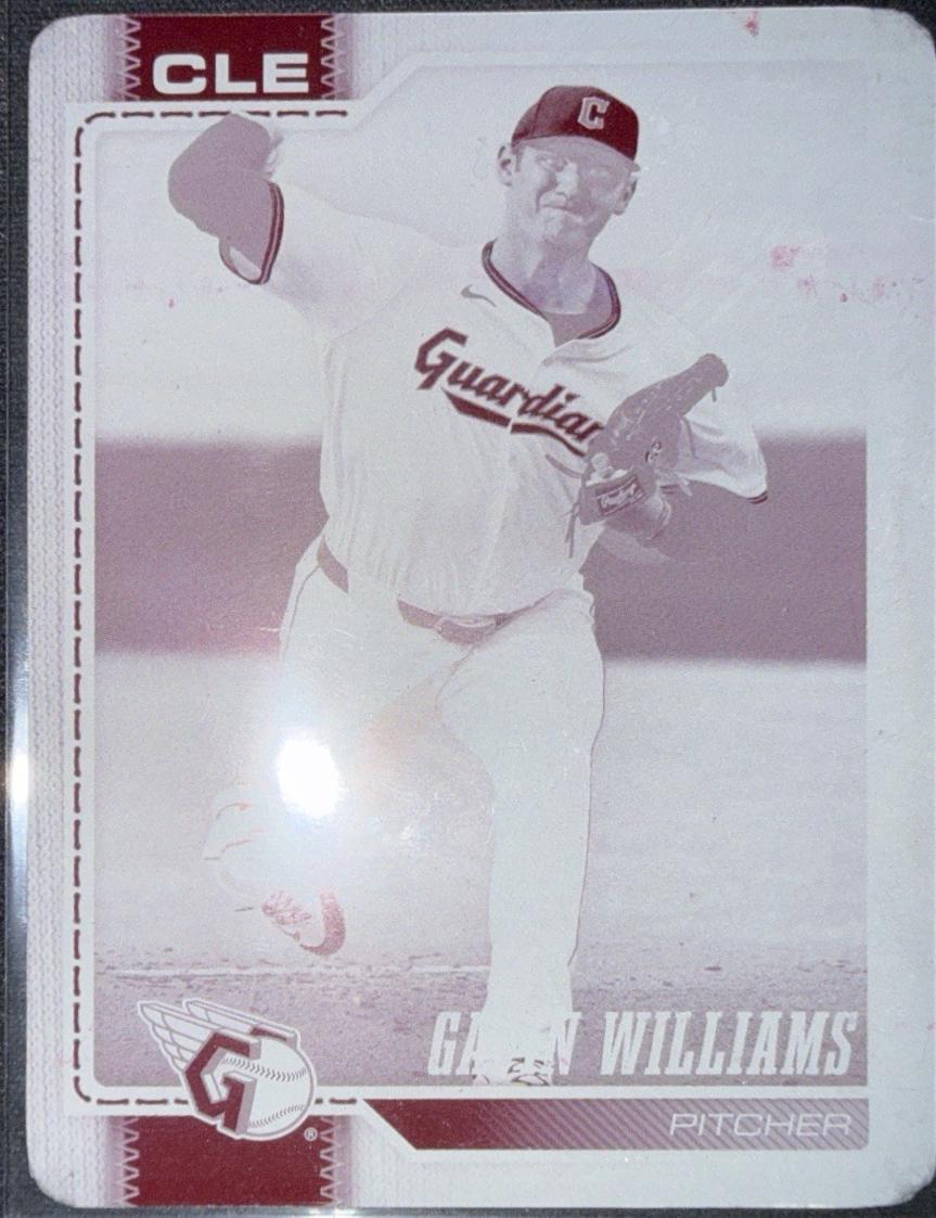Gavin Williams [Printing Plate] #254