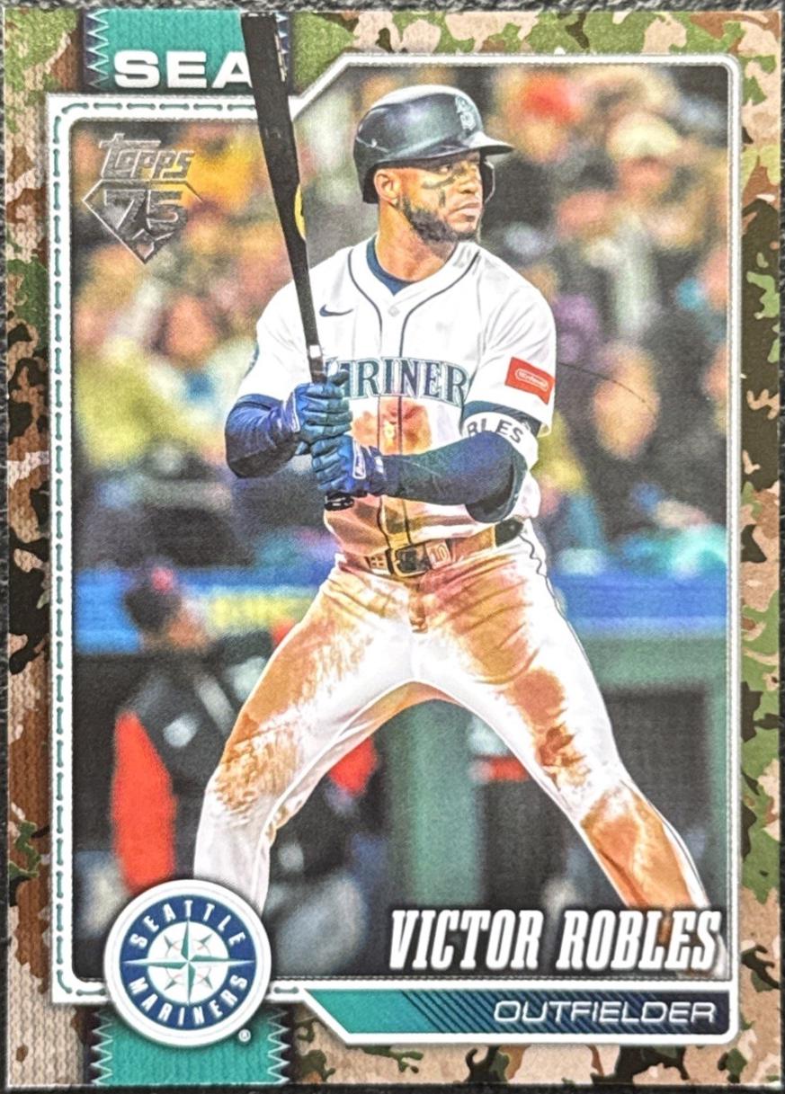 Victor Robles [Memorial Day Camo] #160
