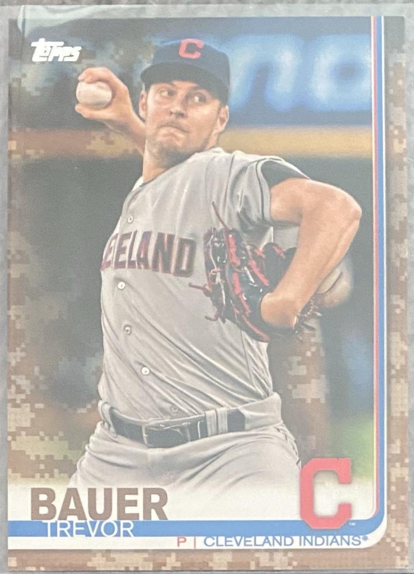 Trevor Bauer [Memorial Day Camo] #110