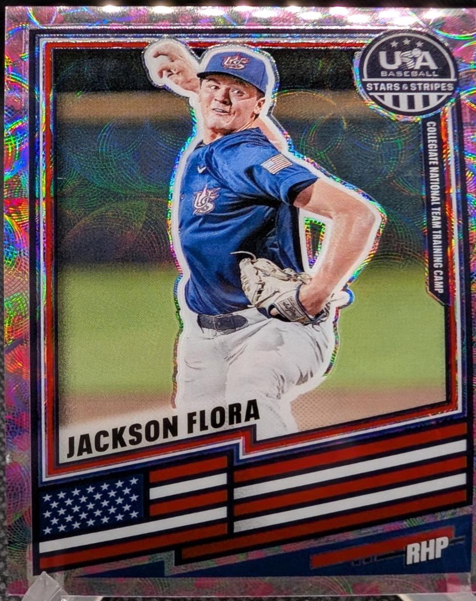 Jackson Flora [Cherry Blossom] #80