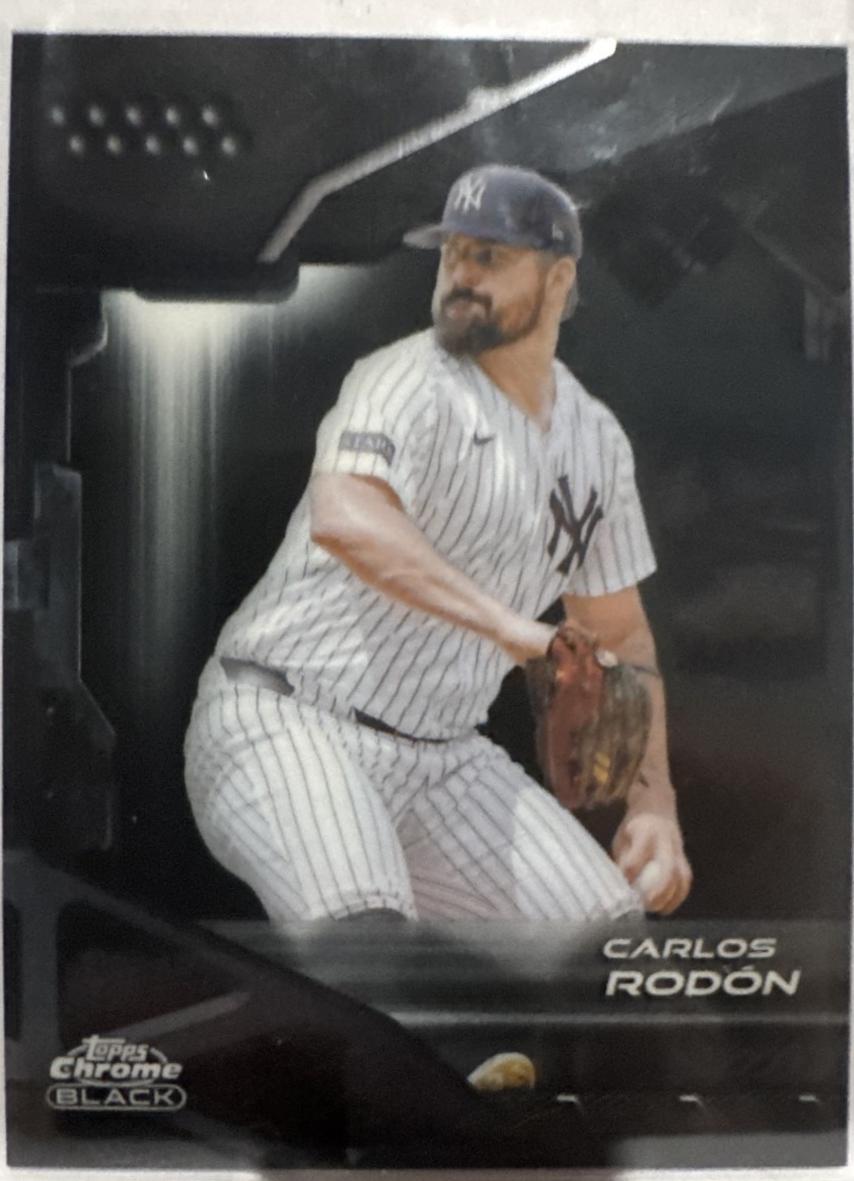 Carlos Rodon #165