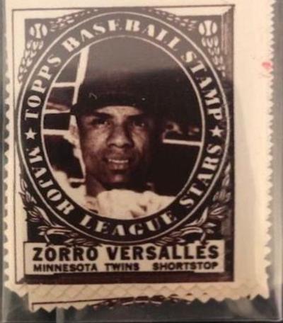 Zorro Versalles