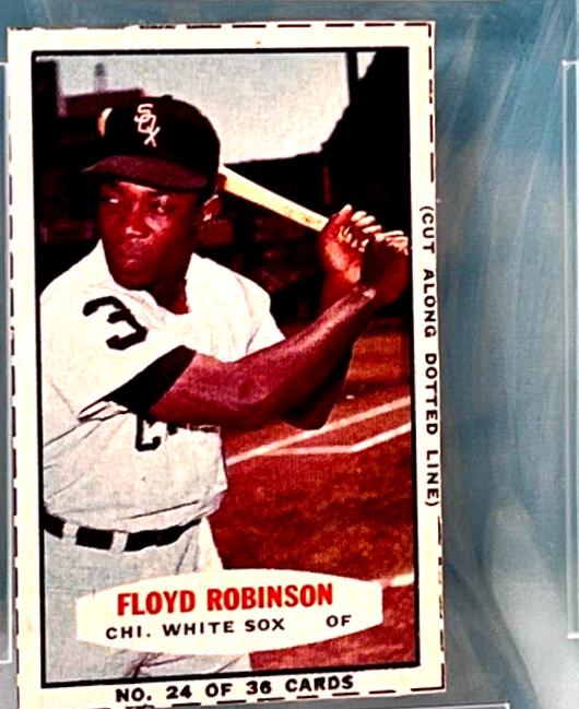 Floyd Robinson [Hand Cut No Pinstripes] #24