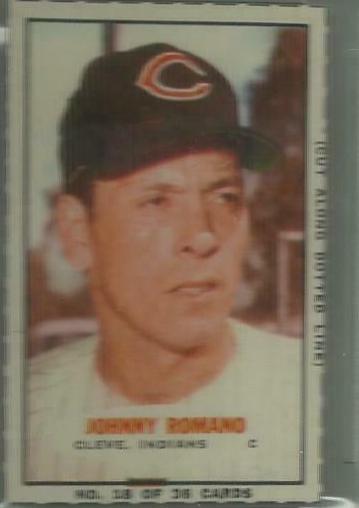 Johnny Romano [Hand Cut Portrait] #18