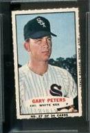 Gary Peters [Hand Cut Portrait] #27