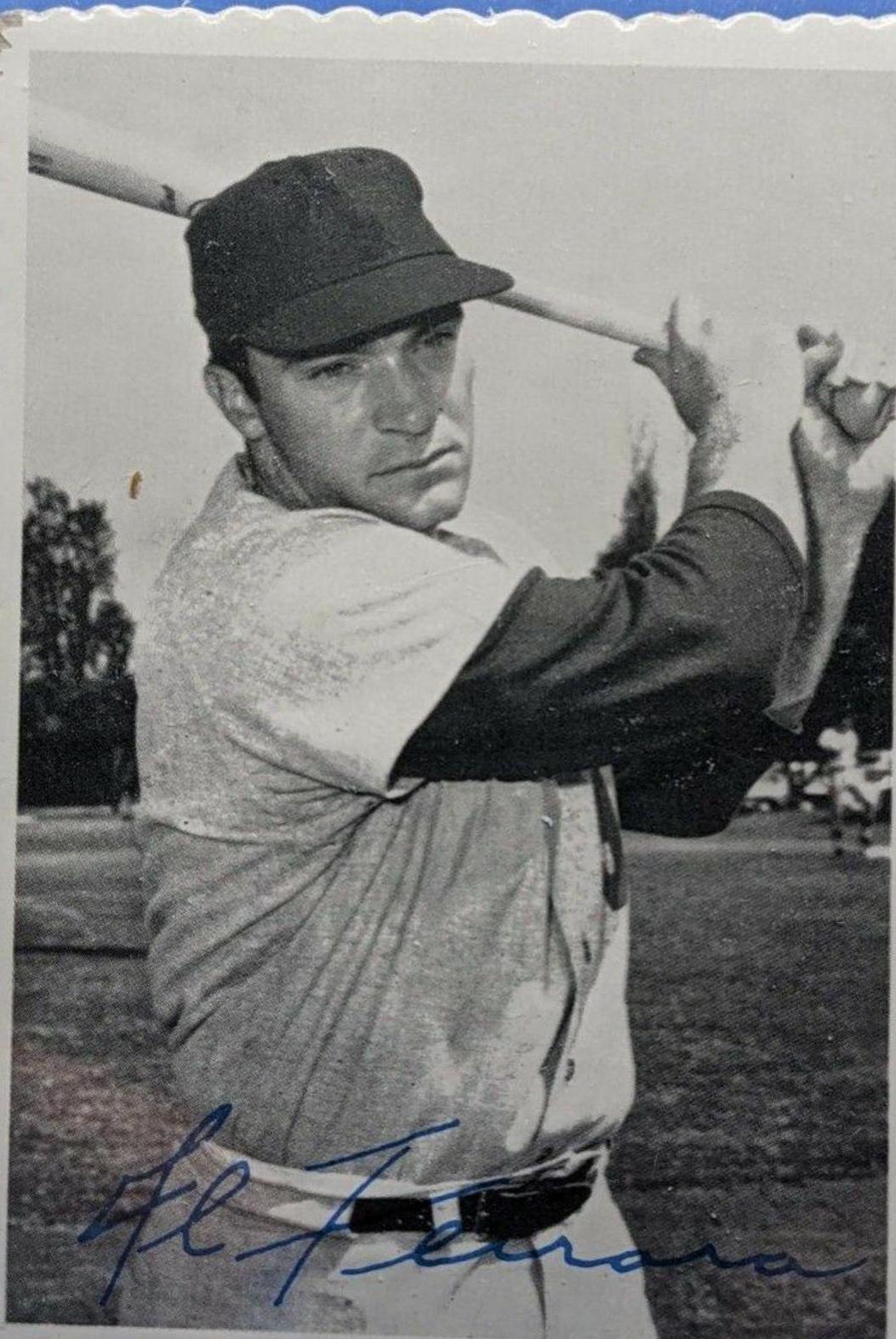 Al Ferrara #30