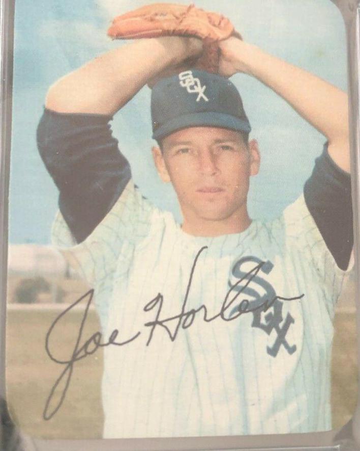 Joe Horlen #12