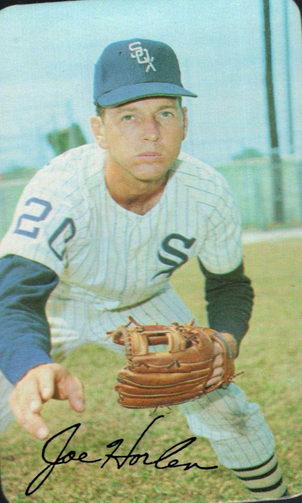 Joe Horlen #20