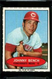 Johnny Bench [Hand Cut] #29