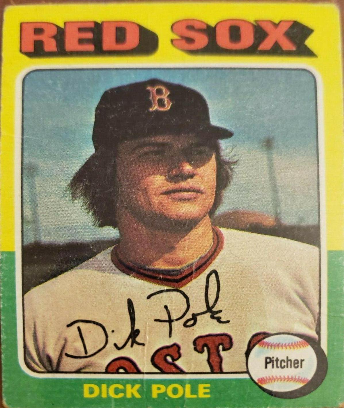 Dick Pole #513