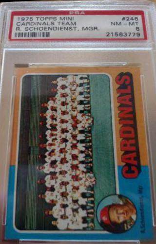 St. Louis Cardinals #246