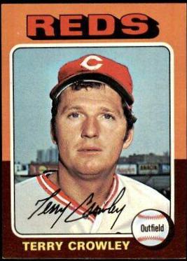 Terry Crowley #447