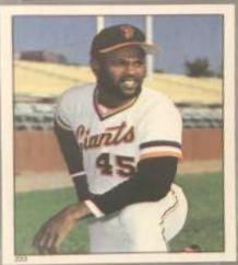 Terry Whitefield #233