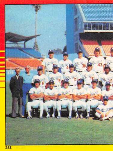 1981 World Champions #255
