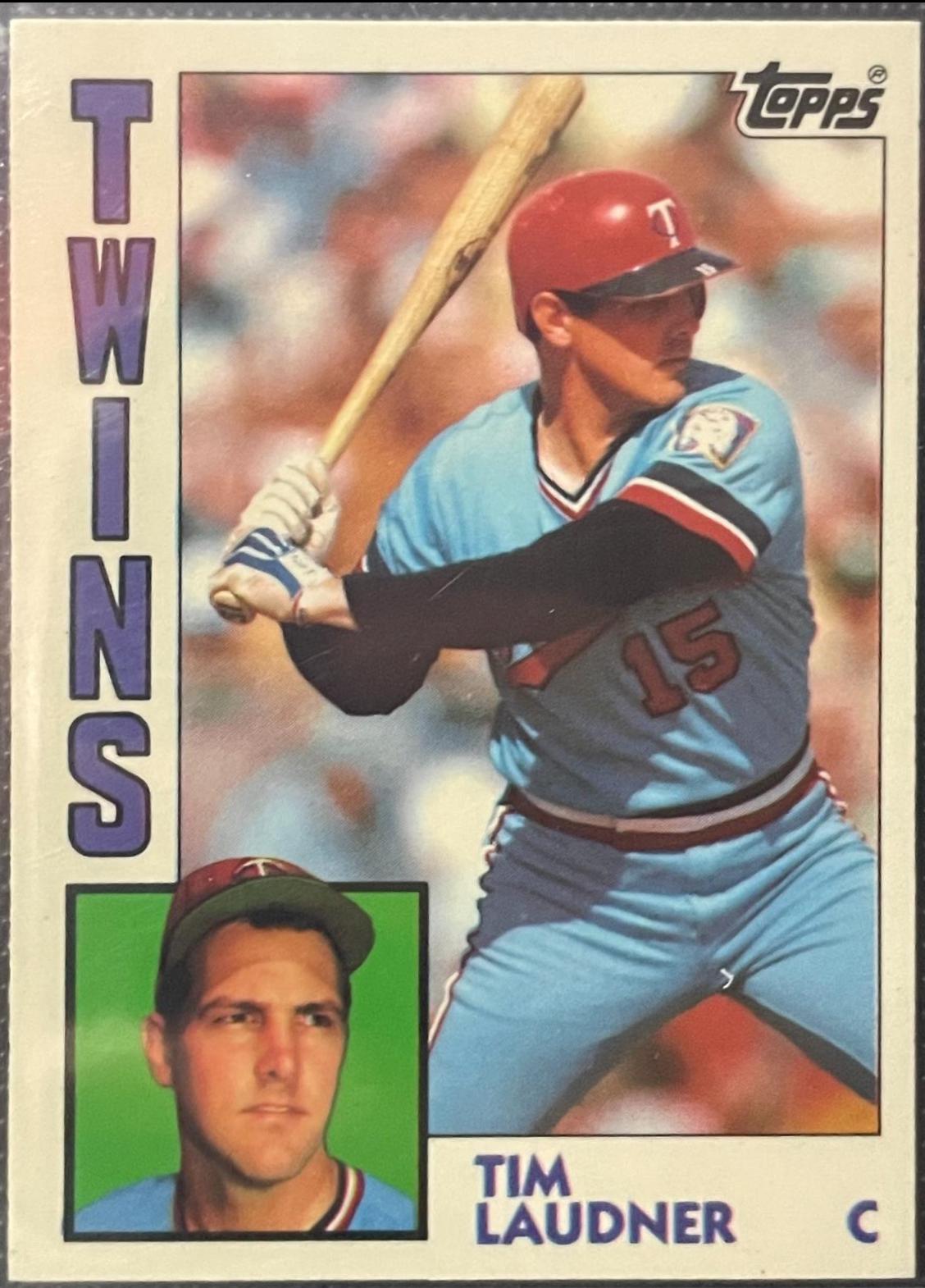 Tim Laudner #363