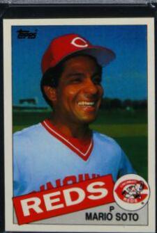 Mario Soto #495