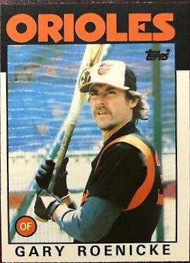 Gary Roenicke #494