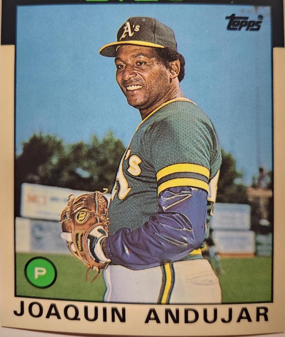 Joaquin Andujar #3T